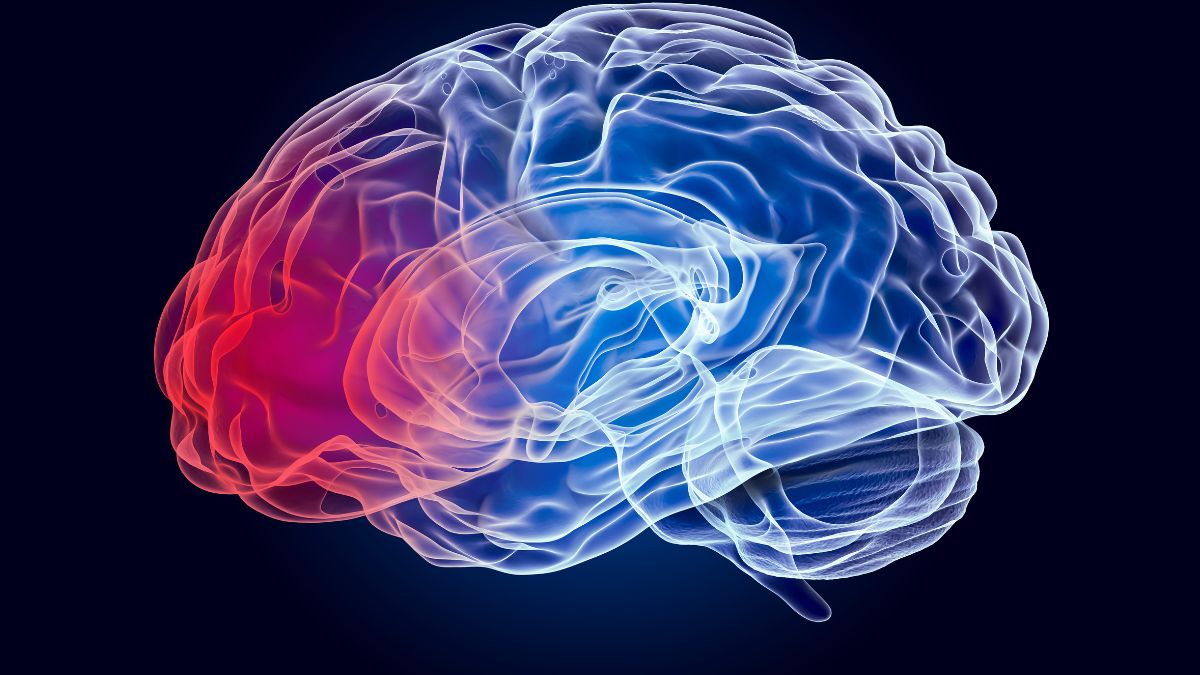 Can Binaural Beats Damage Your Brain